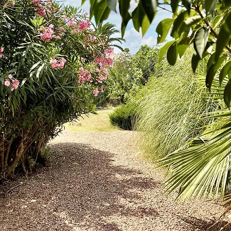 Villa Villa Charmante A Porto-Vecchio Avec Vue Sur La Montagne. *