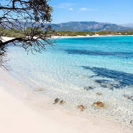 Villa Charmante A Porto-Vecchio Avec Vue Sur La Montagne. Porto-Vecchio (Corsica)