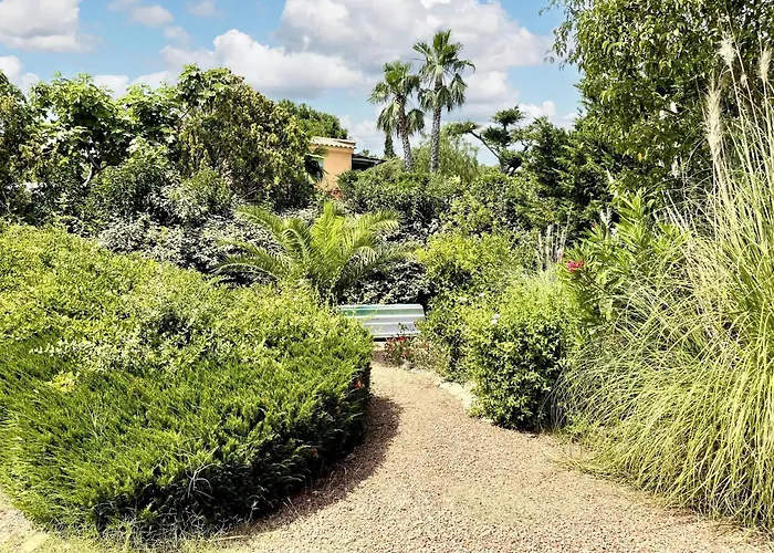 Villa De 4 A Vecchio A 160 M De La Avec Jardin Clos Et Wifi *