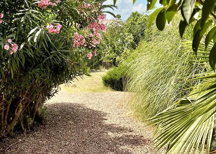 Villa De 4 A Vecchio A 160 M De La Avec Jardin Clos Et Wifi *